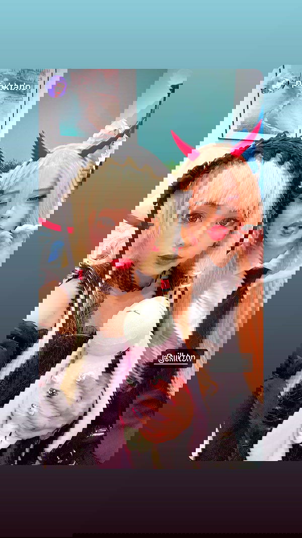 silkton image ~ Altpins