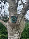 mollieruck Altpins Profile Picture