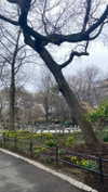 federica.piccinni Altpins Profile Picture