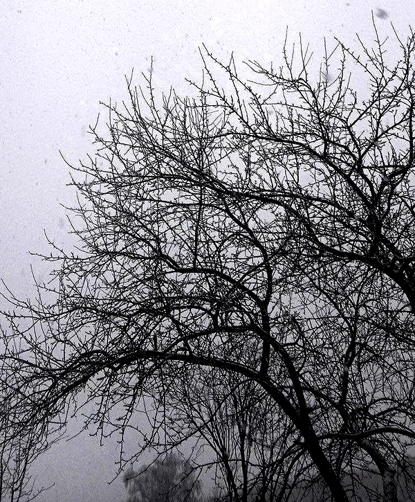 the_dark_pprincessa instagram image archive image