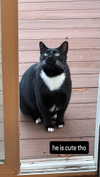 newpoort Altpins Profile Picture