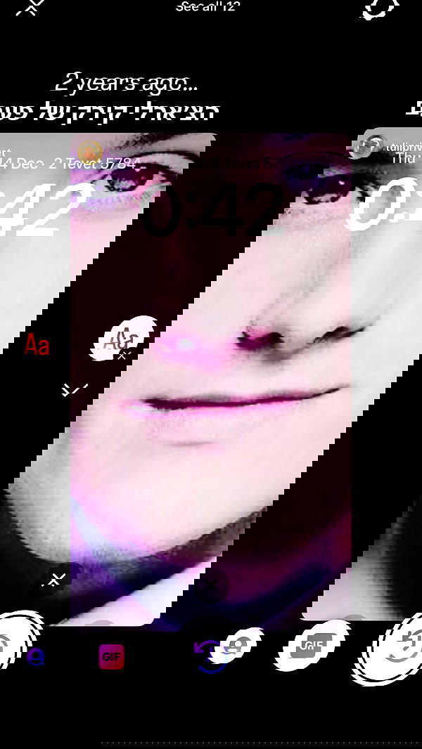 tuliprivet tuliprivet archive image