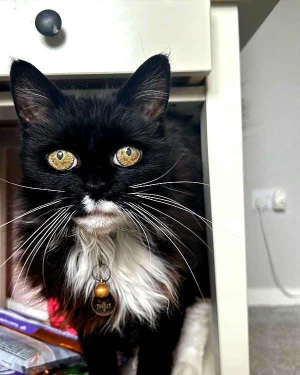 charley.chambers instagram image archive image