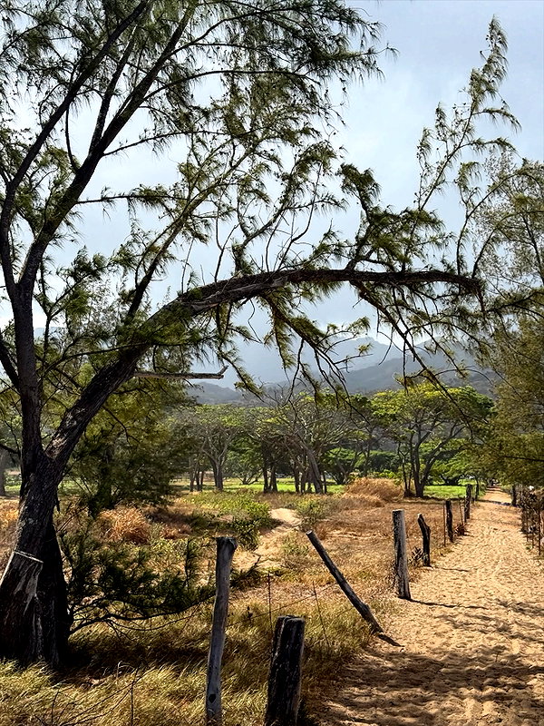 rouxroux.tv instagram image archive image
