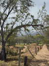 rouxroux.tv Altpins Profile Picture