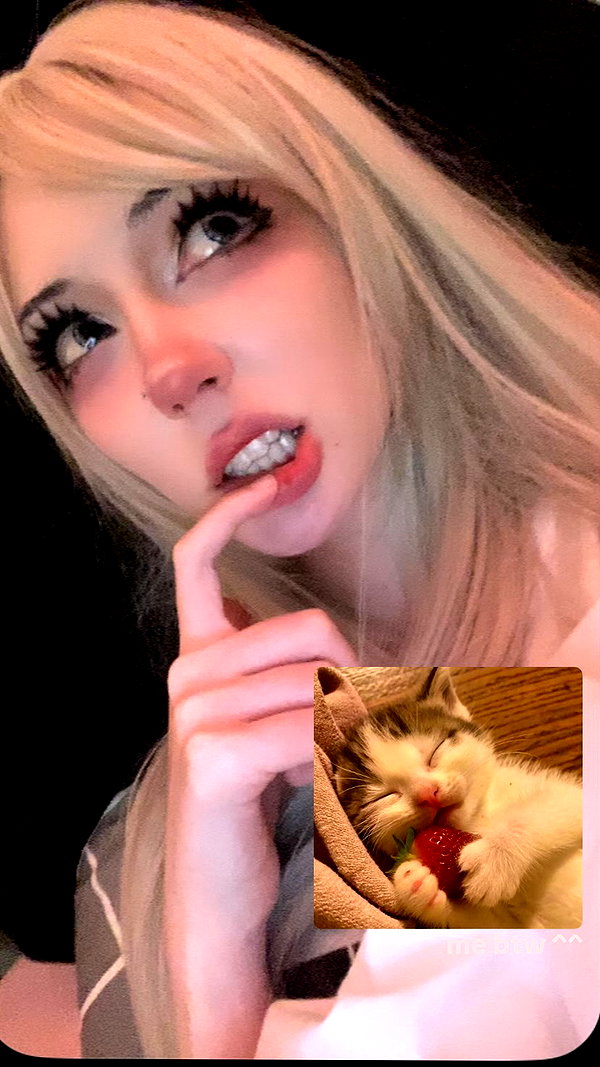 meowwmaxxer archive image