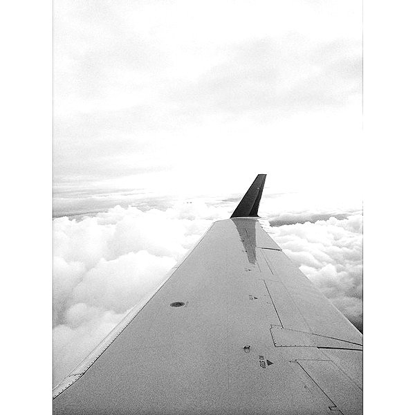 sashapieterse instagram image archive image