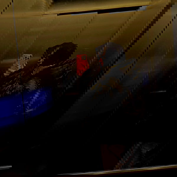 pollcherri pollcherri archive image