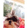 ashleybenson Altpins Profile Picture