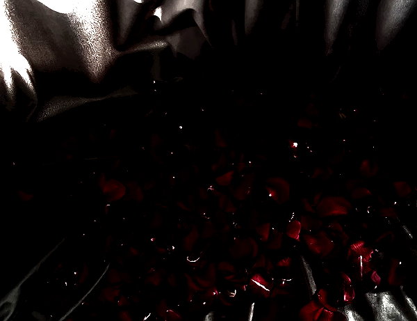 klywrxzzp instagram image archive image