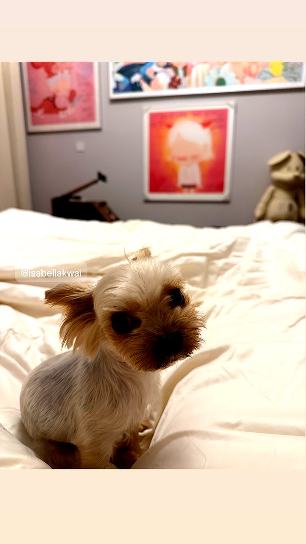 kelseydopegal instagram image archive image