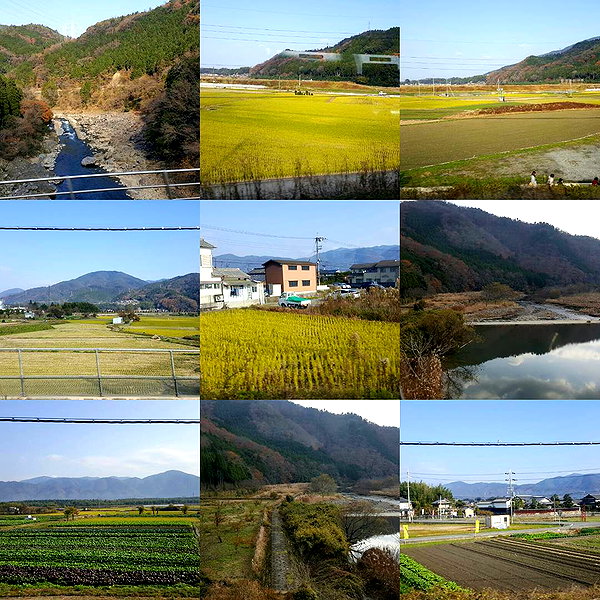 muze instagram image archive image