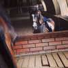 kafelnikova_a Altpins Profile Picture