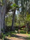 rouxroux.tv Altpins Profile Picture