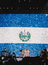shakira Altpins Profile Picture