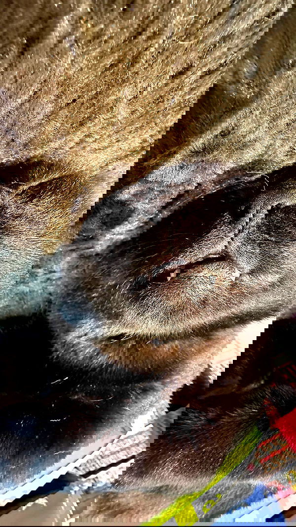 mishel116 mishel116 archive image