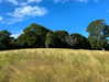 daisy_r_19 Altpins Profile Picture