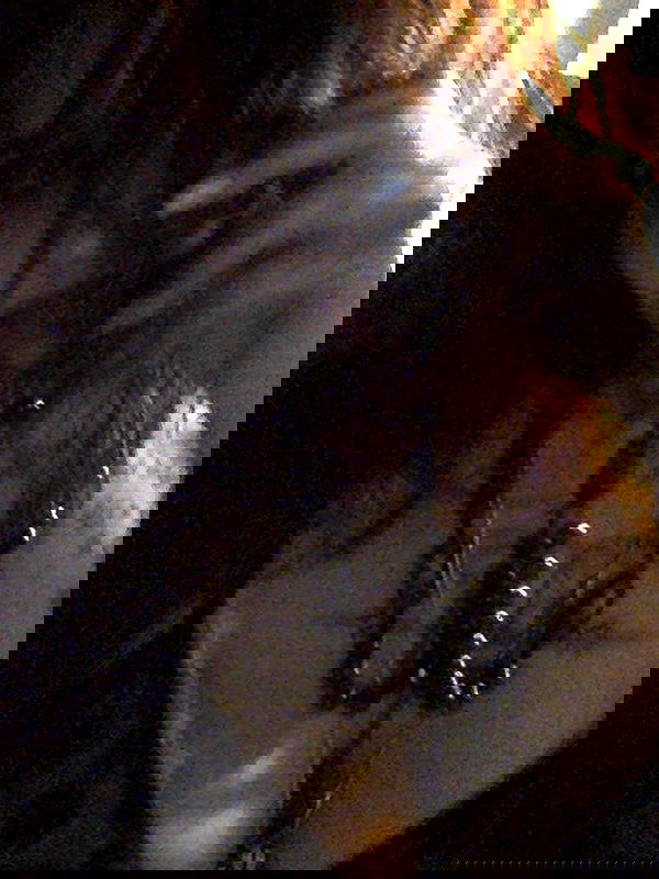 zommmbri zommmbri archive image