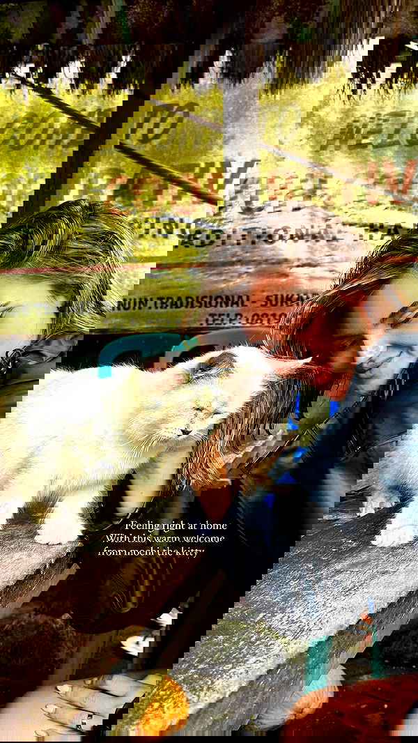 taylor.creeden taylor.creeden archive image