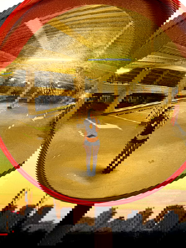 annfigmax image ~ Altpins