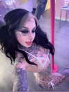 taxevasionkoala Altpins Profile Picture