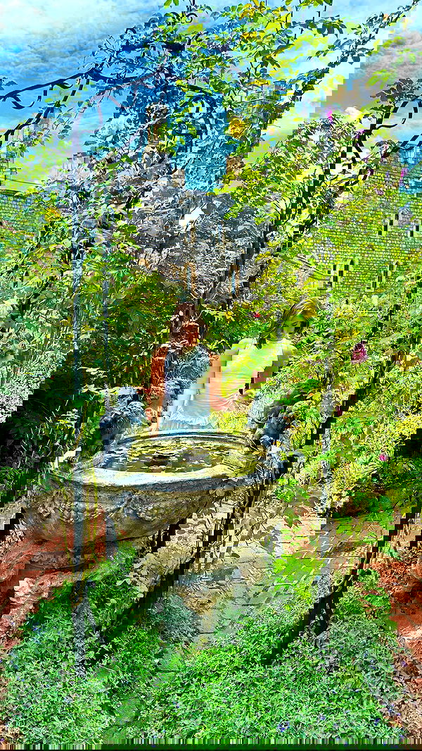 taylor.creeden taylor.creeden archive image