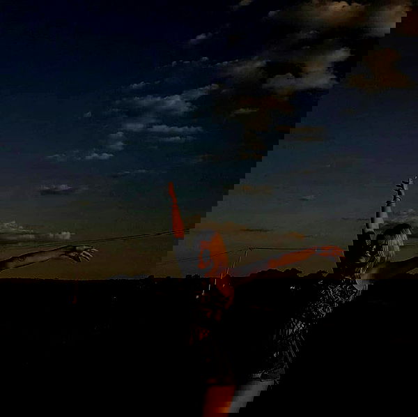 annfigmax image ~ Altpins