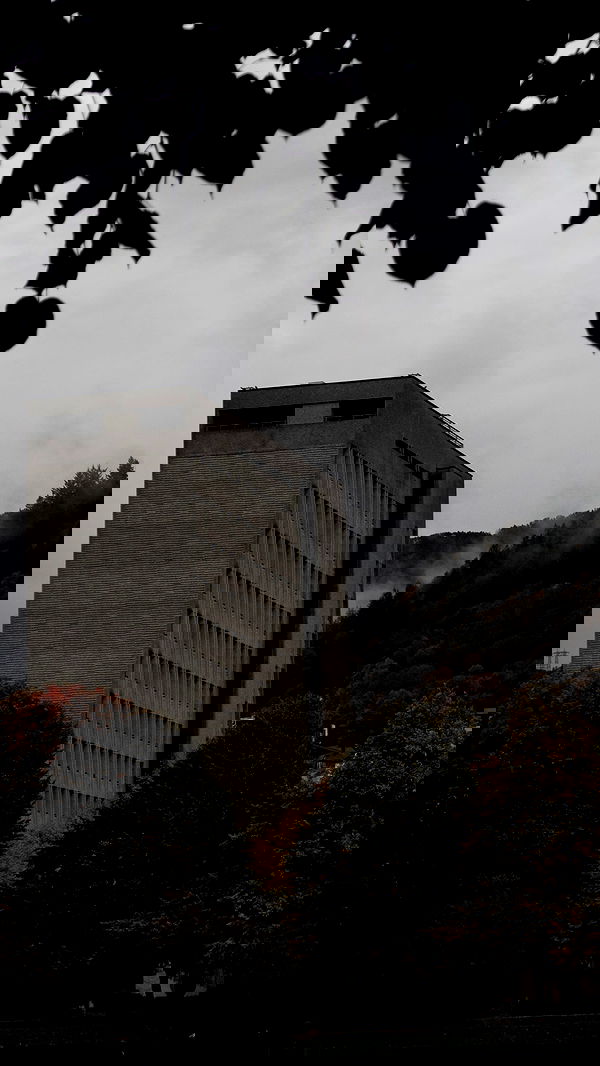 milkgore milkgore archive image