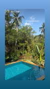 michal_cohen017 Altpins Profile Picture