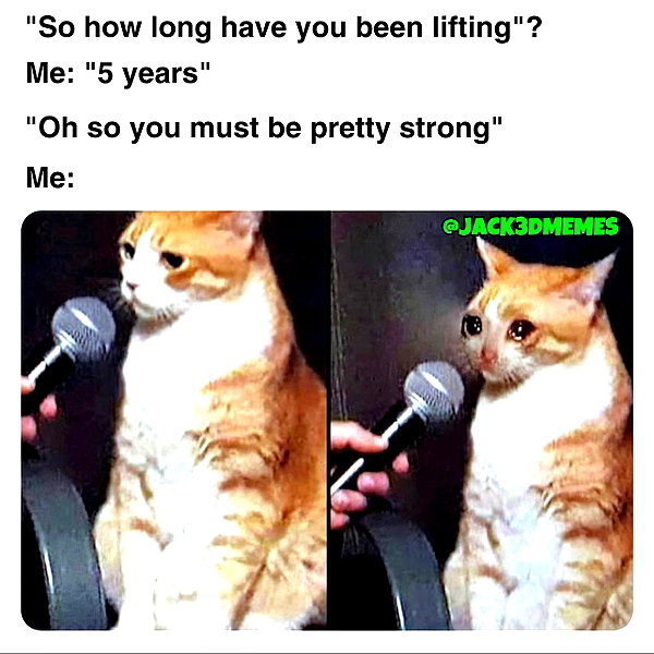 leanbeefpatty instagram image archive image