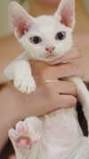 jiw_____n Altpins Profile Picture