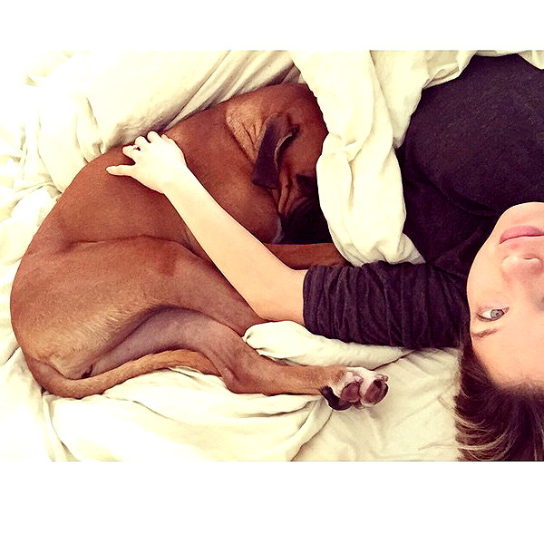 adihimelbloy instagram image archive image