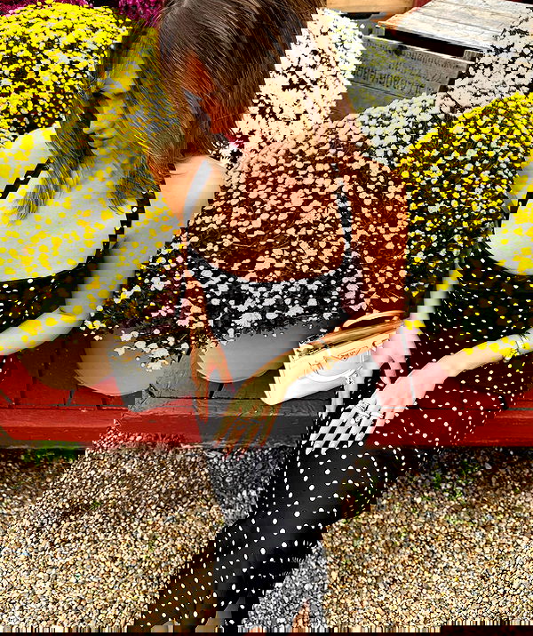 taylor.creeden taylor.creeden archive image