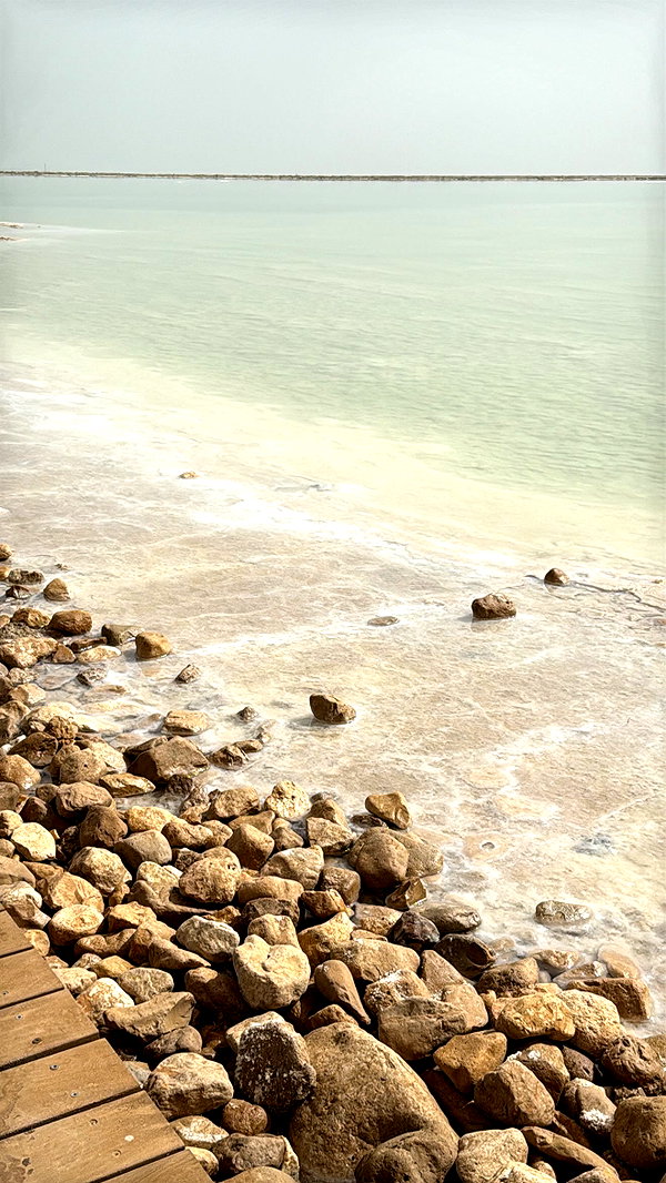 orcoheen instagram image archive image