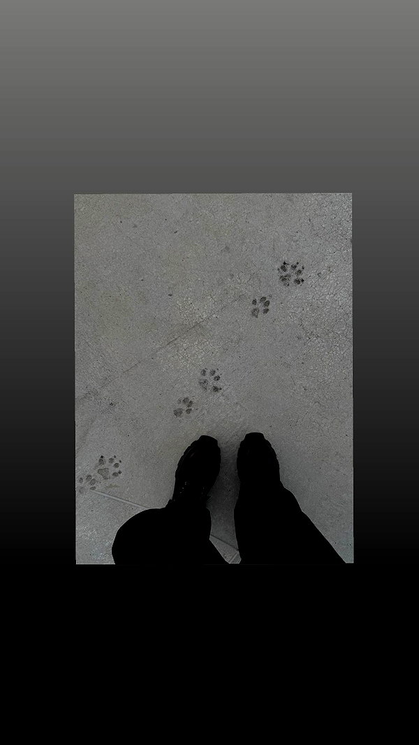 chuihon_ instagram image archive image