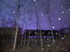 cyber.st4rz Altpins Profile Picture