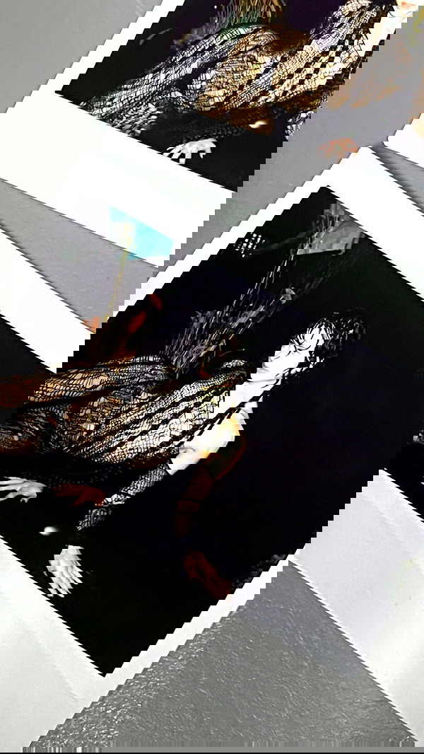 leonanaomii image ~ Altpins