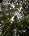 daisy_r_19 Altpins Profile Picture