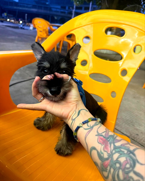 bad.toy instagram image archive image