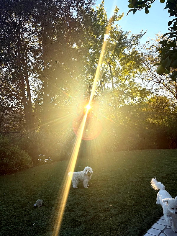 lucyhale instagram image archive image