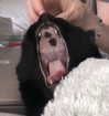 danielle.mercedie Altpins Profile Picture