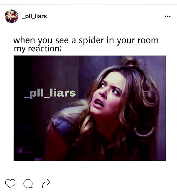 sashapieterse instagram image archive image