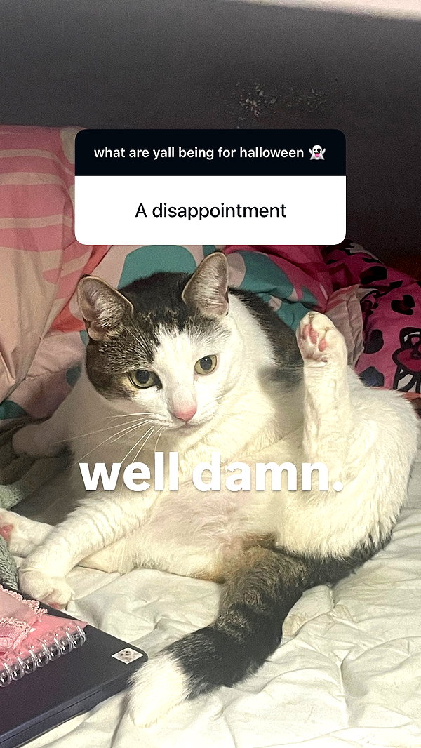 Archived image from @slashersyndrome on Instagram