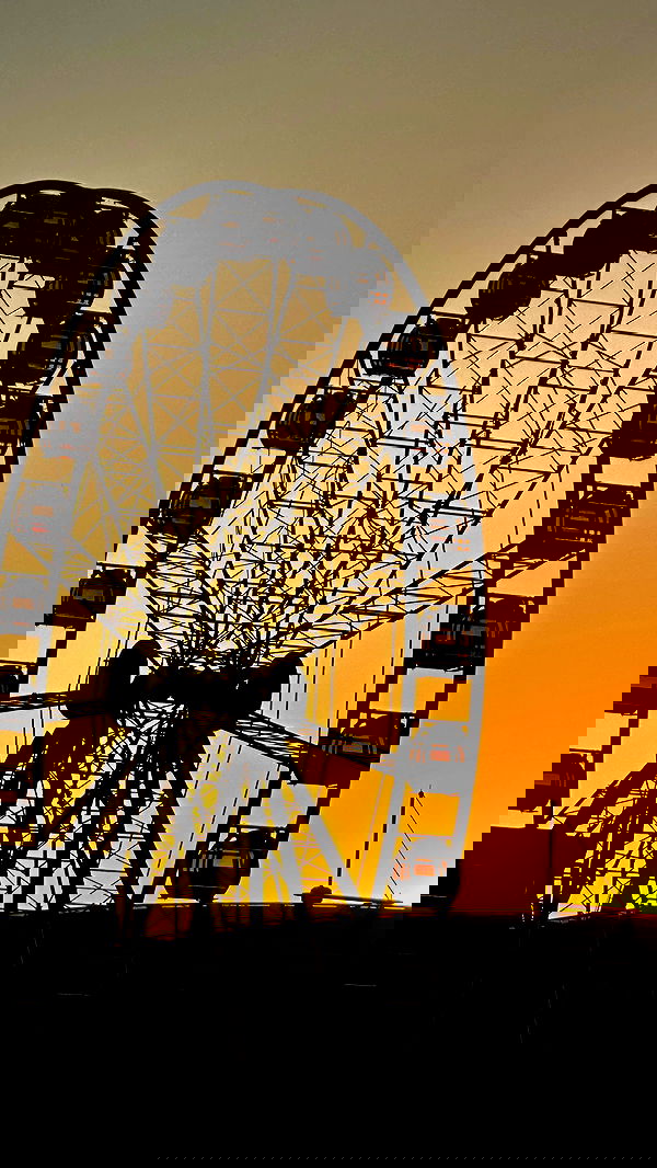 taylor.creeden taylor.creeden archive image