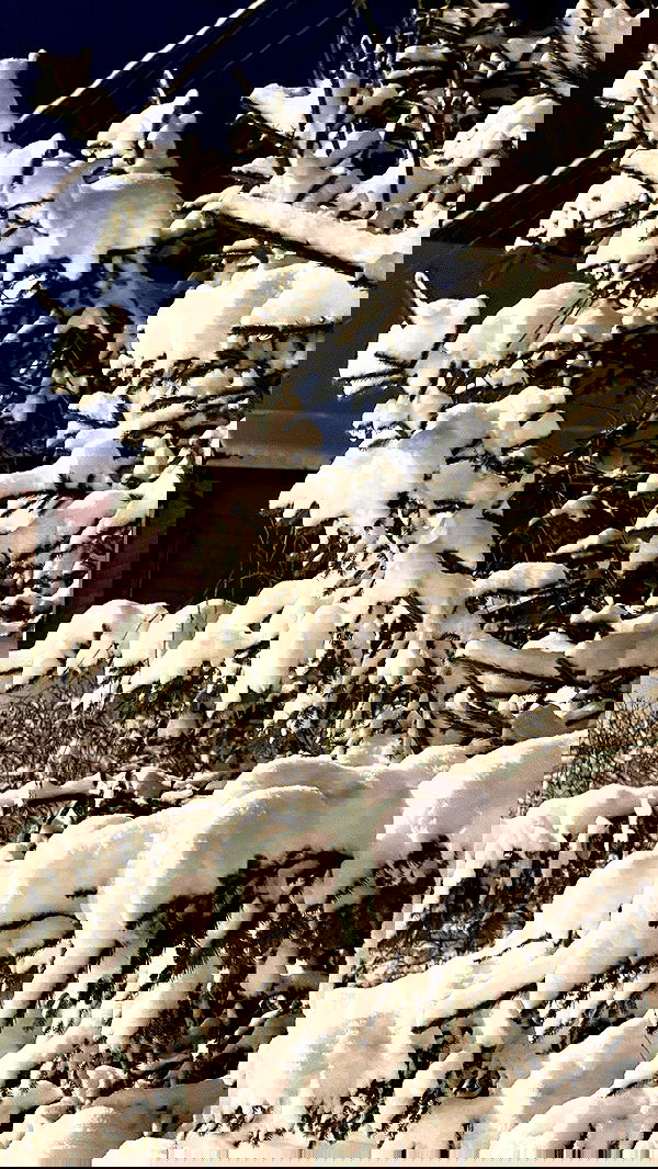 howeversnowy howeversnowy archive image