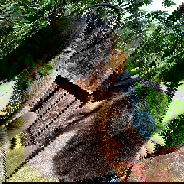 danbbyyy danbbyyy archive image