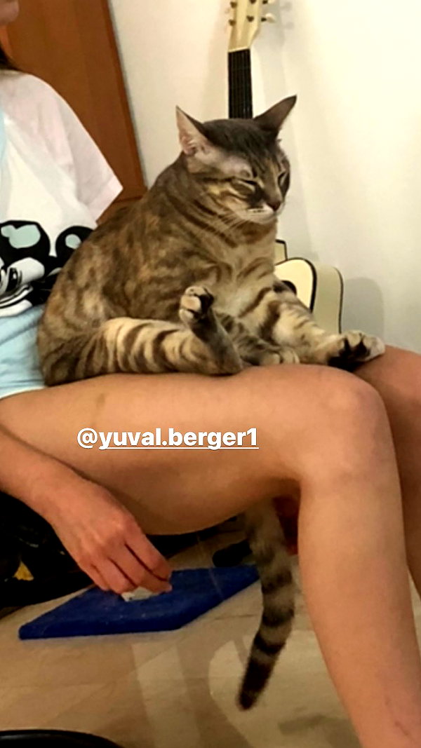 Archived image from @notchicore on Instagram