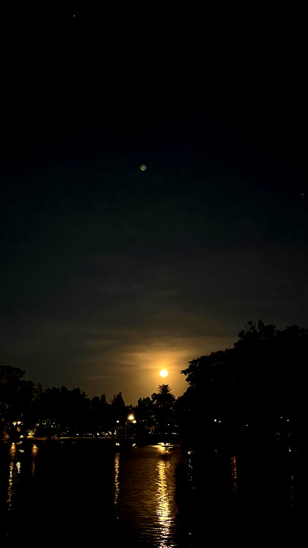 solzarubin_ instagram image archive image