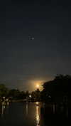 solzarubin_ Altpins Profile Picture