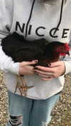 jahia_brown Altpins Profile Picture